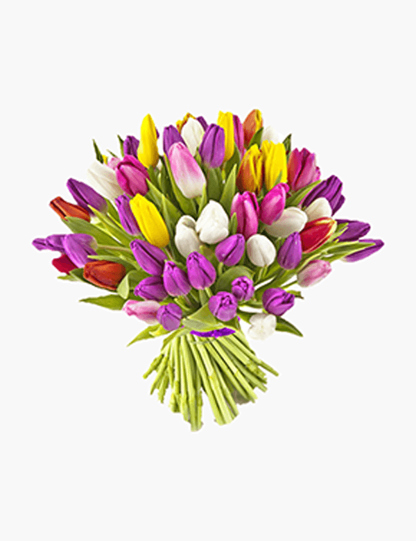 Wedding Bliss Arrangement