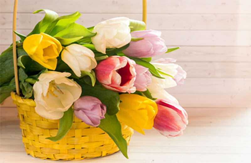 How to Keep Your Flowers Fresh Longer
